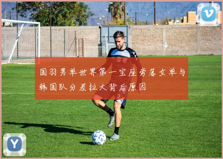 国羽男单世界第一宝座旁落女单与韩国队分差拉大背后原因