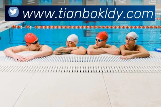 App Interface Preview