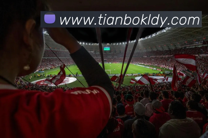 天博体育APP 高清赛事图